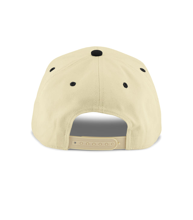 Dad Snapback